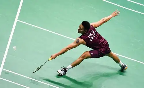 羽毛球丨世锦赛林丹晋级