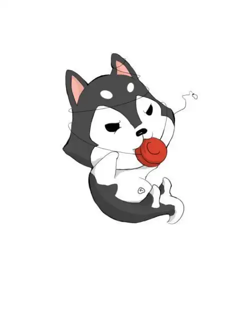 q版哈士奇简笔画可爱