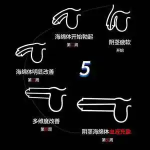 海绵体修复受损再生二次生长素发育男性硬大粗增加硬增长