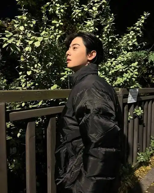 车银优韩剧今天也很可爱的狗