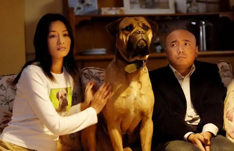 《爱情呼叫转移》结局是什么?影片的主题曲和片尾曲分别叫什么?