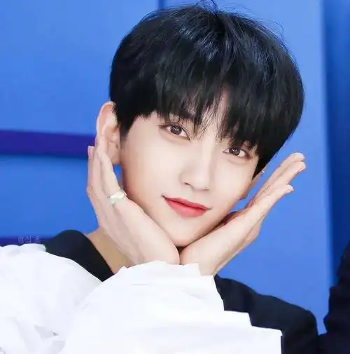 微信头像seventeen洪知秀