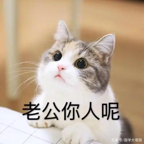 不倒翁小哥颜值"逆天",看见帅哥就喊老公,老公一词暗藏玄机