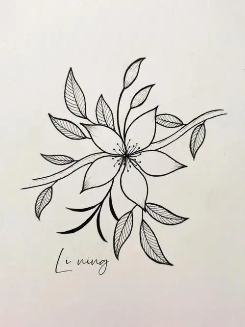 针管笔手绘花卉