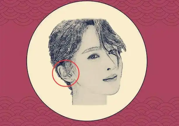 耳朵单薄无肉耳朵在面相中为福气的象征,代表是一个人的福气好坏等,若