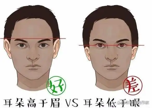 老话说:"耳高一寸,永不贫困"!快看看你的耳朵是高了一寸吗?