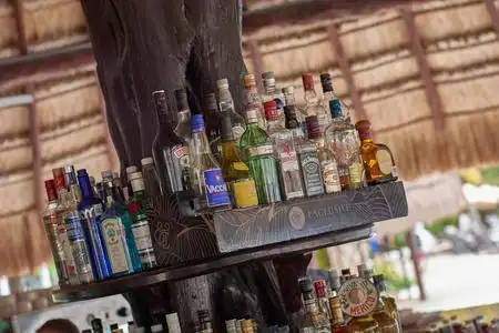 墨西哥xpu-ha的酒吧里摆满了酒瓶照片