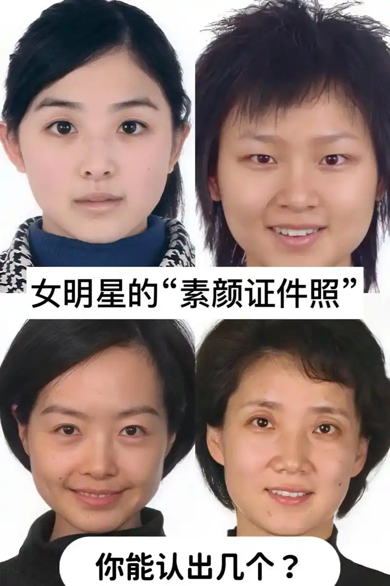 女明星的素颜证件照四你能认出几个