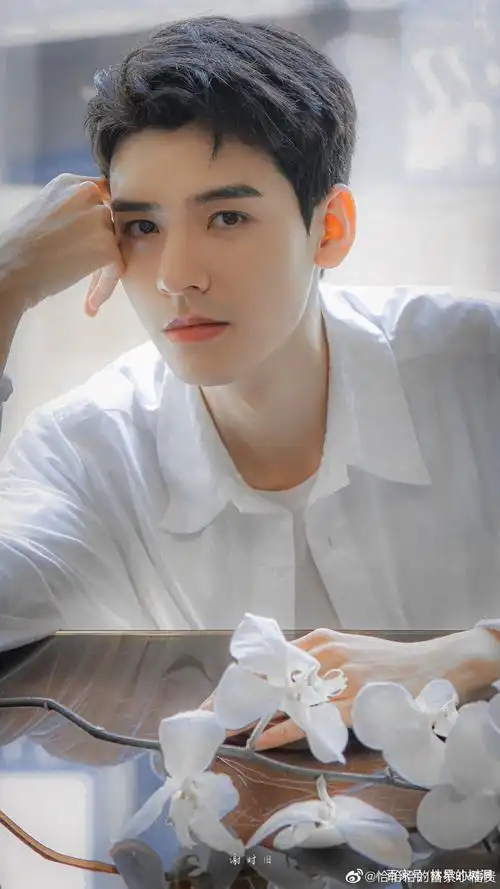 龚俊壁纸:喜欢花 喜欢海 喜欢日出日落 也喜欢你