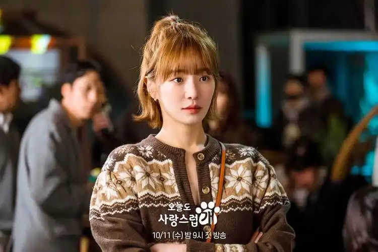 今天也很可爱的狗