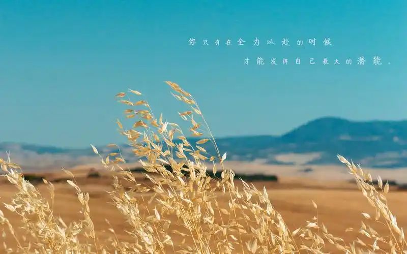 迎接八月的励志说说图片,非主流-回车桌面