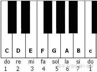 天津买钢琴之知识拓展---琴键