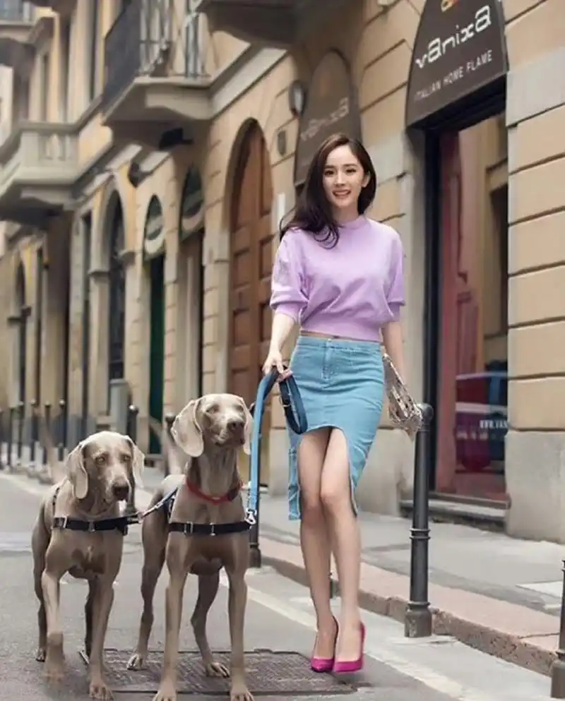 杨幂街拍遛狗,气质满满.
