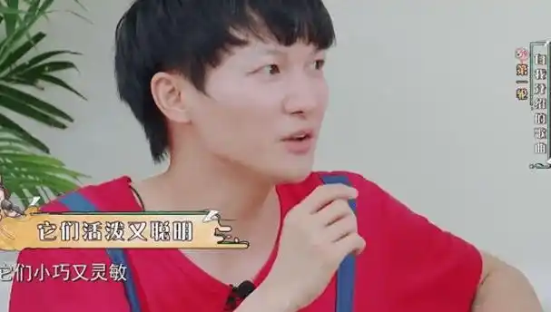 周深的唱功_声音_歌曲_那英