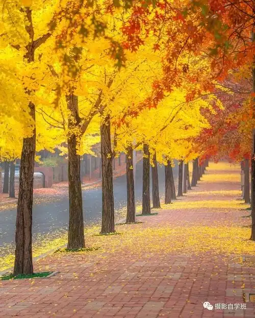 你的照片拍得更好>图3:图2当中没有人,但是照片也可以,因为远处的风景