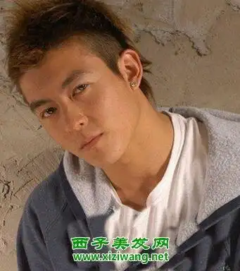 男生阴阳发型图片 男生阴阳发型个性吗