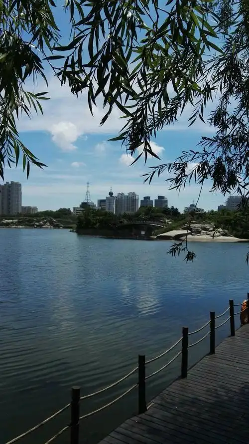 银河公园之四季(柳青河畔手机摄影)