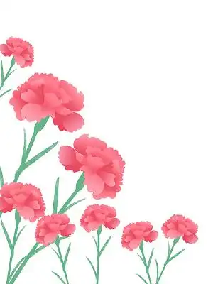 红色康乃馨素材-红色康乃馨图片-红色康乃馨素材图片下载-觅知网