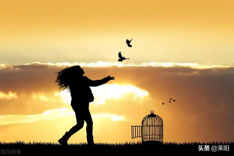 笼中鸟的逃离之道