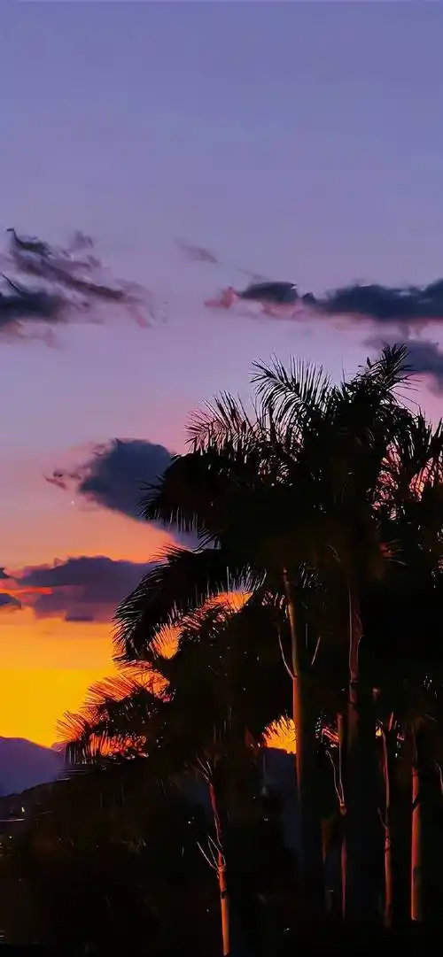 超耐看的全面屏壁纸