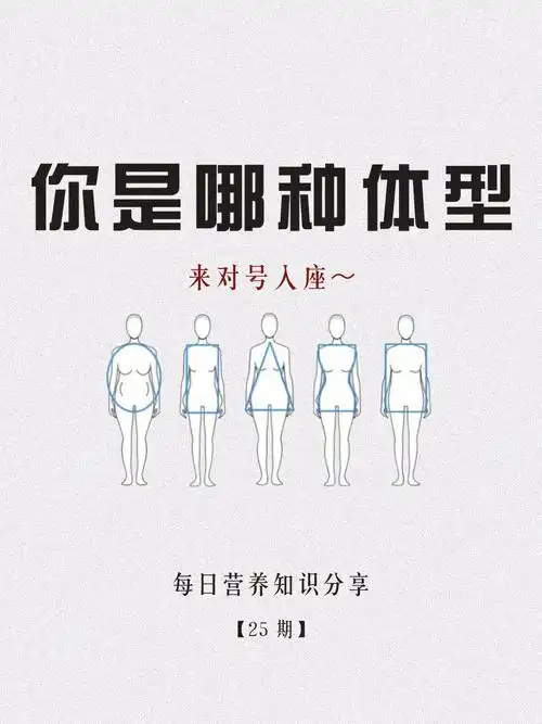 你是哪种体型