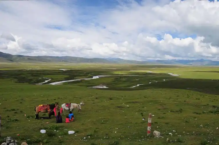 最美的风景在路上(下)