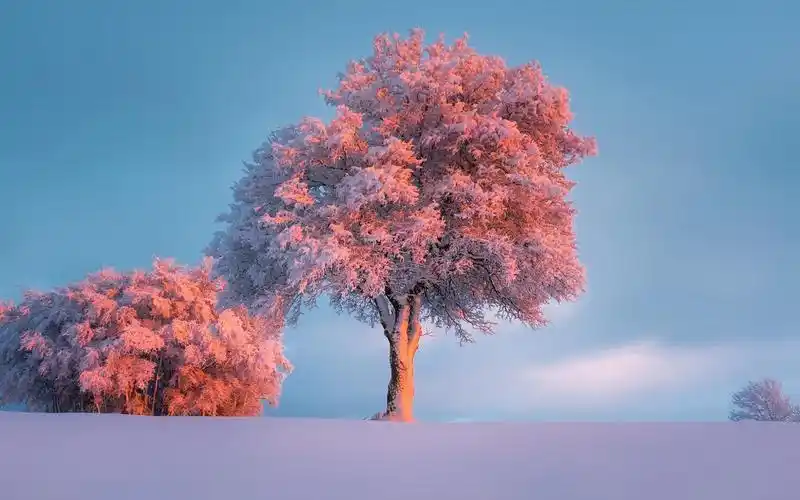 唯美自然风景电脑桌面壁纸下载