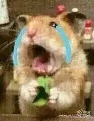 表情包 - 表情图