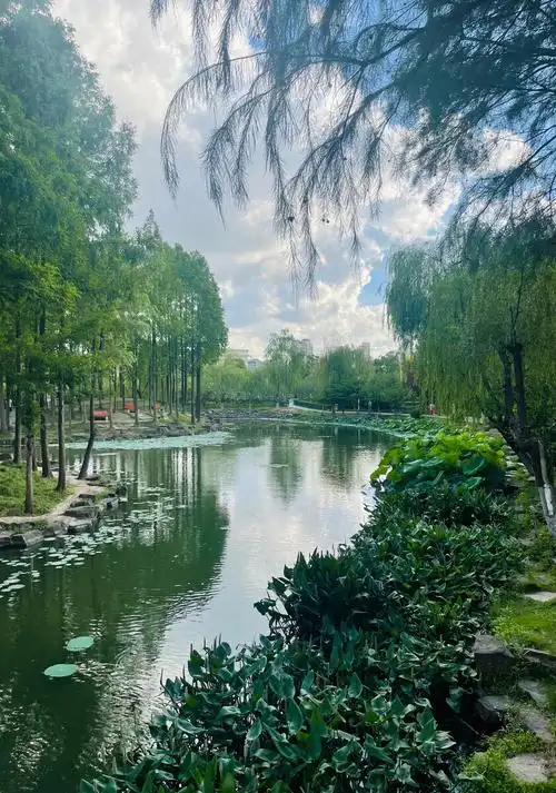 昨天傍晚台风烟花来临前在公园拍摄的水景