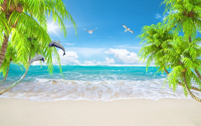 第六章 壁画 墙布 吊顶 天空 海景 沙滩 海鸟 椰子树