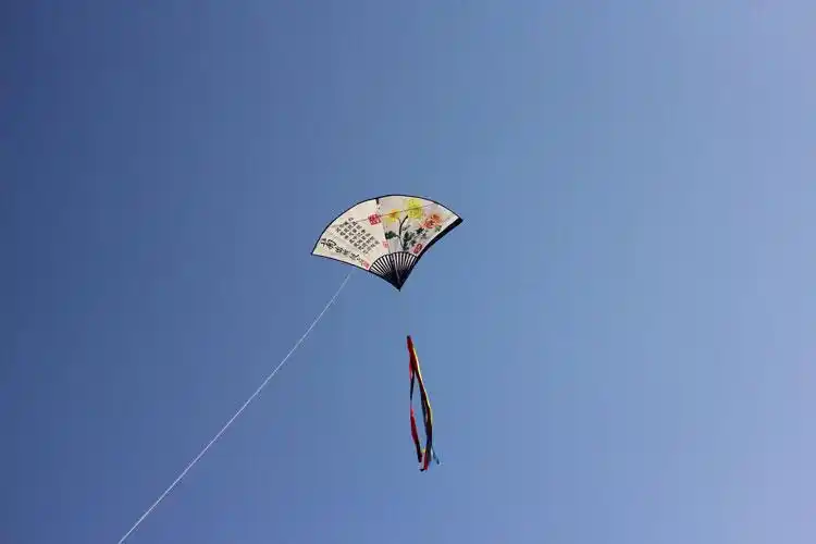 602019梅花扇子风筝儿童卡通中小型风筝线轮套餐520礼物29米格子布