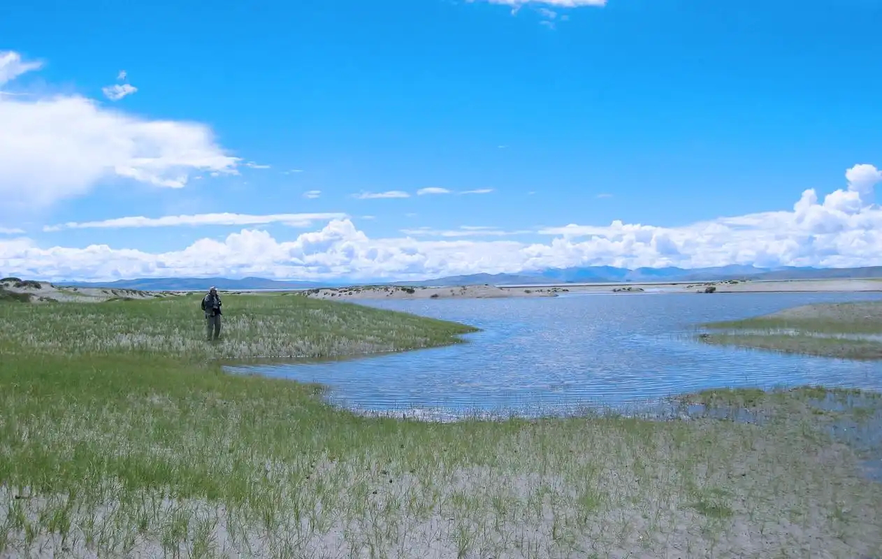 不冻泉可可西里