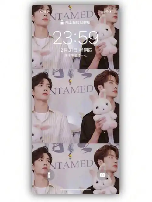 肖战王一博壁纸