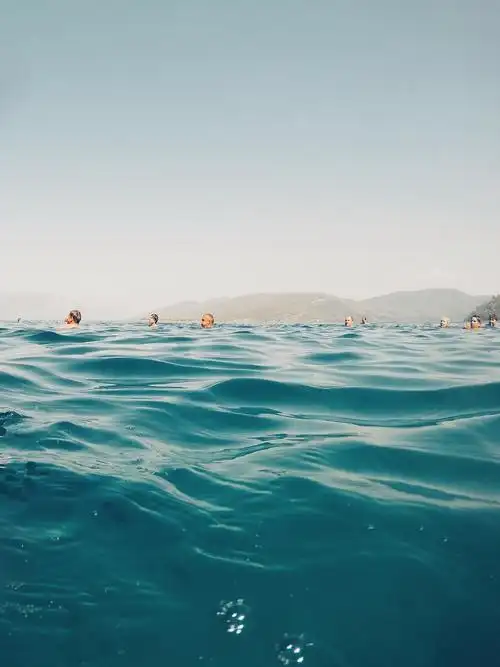 海滩上游泳的一群人