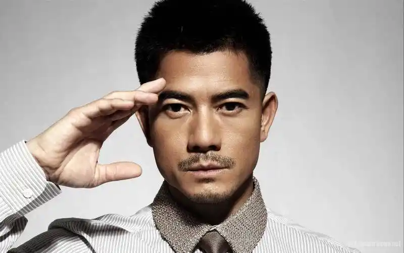 郭富城参加的内地综艺节目_李连杰 郭富城 刘德华 哪个演员没有参加