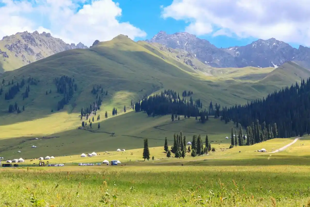 总要去一趟那拉提吧 那拉提草原,是世界四大高山草原草原之一, - 抖音