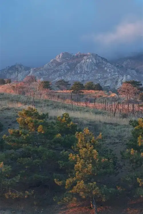 首页 自然与风景