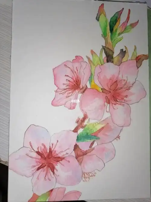 水彩春天桃花