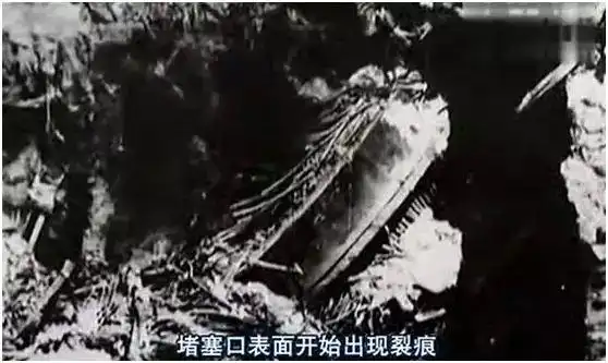 他们在辐射区过起了"世外桃源"般的生活,真相让人心酸