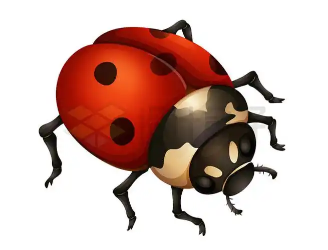 卡通七星瓢虫昆虫9582921矢量图片免抠素材