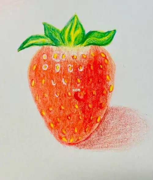 彩铅画入门学习水果篇