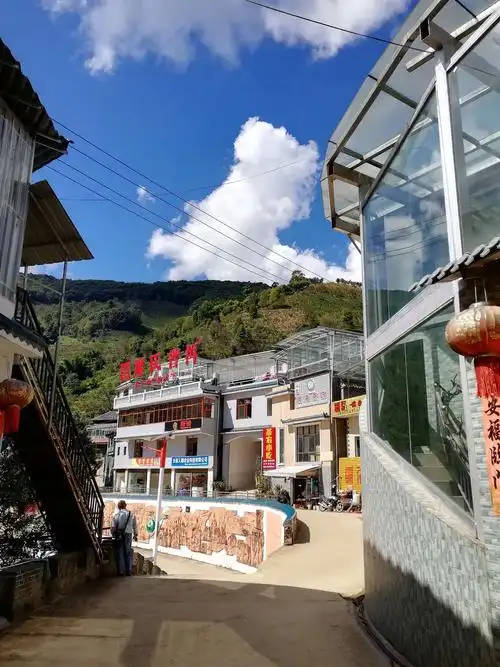 冰岛!茶人的朝圣地.