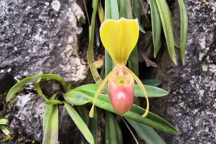 海伦兜兰寻觅记