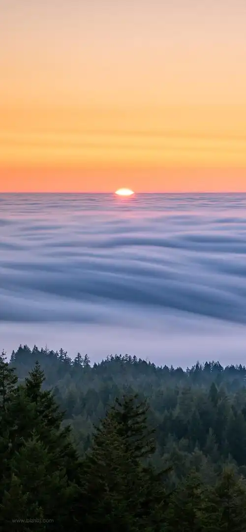 手机壁纸风景青山绿水