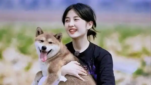 原创《向往6》海南站,张子枫不受恋爱影响和张艺兴,彭昱畅热聊_节目