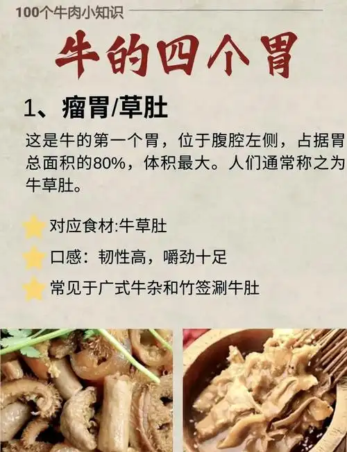 9604 牛的四个胃,你了解多少?