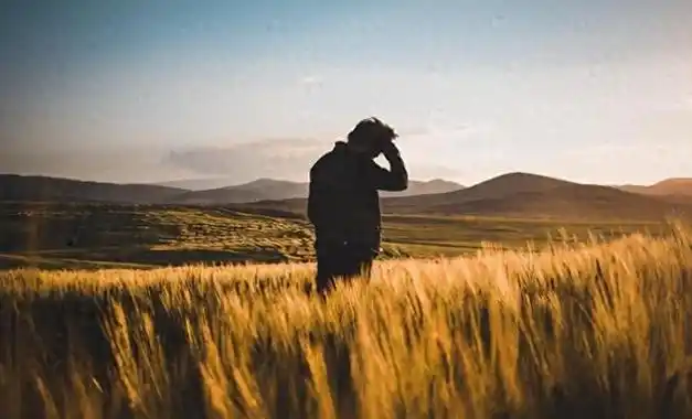 56岁的我去年送走86岁老母今年送走90岁老父我决定以后不养老