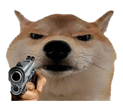 神烦柴犬怒视表情包_神烦_柴犬_怒视表情