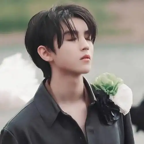 【微信头像】王俊凯