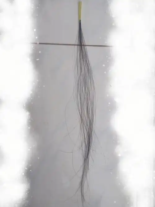 一缕青丝系君腕